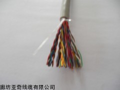 ZR-CAT25*2*0.5阻燃通信大對數電纜 廊坊亞奇線纜的專業之選